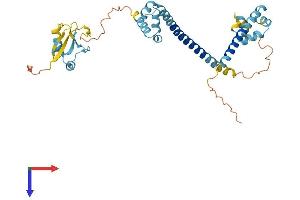 DFFA Protein (AA 1-331) (His tag)