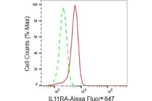Flow cytometric analysis of IL11RA expression in HeLa cells using IL11RA antibody (ABIN7799097), 1:2,000). (Rekombinanter IL11RA Antikörper)