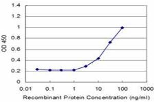 Detection limit for recombinant GST tagged ZNF70 is approximately 3ng/ml as a capture antibody. (ZNF70 Antikörper  (AA 1-446))