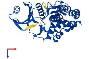 FN3K Protein (AA 1-309) (His tag)
