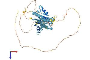 PCBP4 Protein (AA 1-403) (His tag)