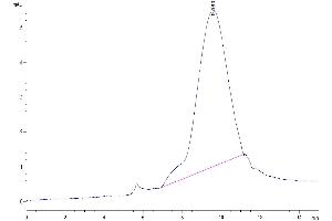 The purity of Human BSPII is greater than 95 % as determined by SEC-HPLC. (IBSP Protein (AA 17-317) (His tag))