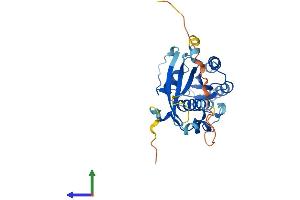 Protein Structure (PS) image for RAB36, Member RAS Oncogene Family (RAB36) (AA 1-267) protein (His tag) (ABIN7559218)