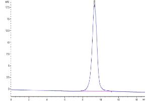 The purity of Cynomolgus CD83 is greater than 95 % as determined by SEC-HPLC. (CD83 Protein (CD83) (AA 20-147) (His tag))