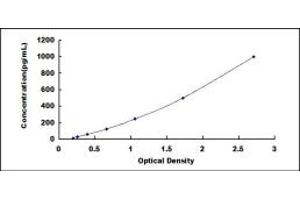 Typical standard curve (CCL19 ELISA Kit)