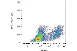 Flow cytometry analysis (surface staining) of PHA-stimulated human PBMC with anti-human CD25 (MEM-181) PE.