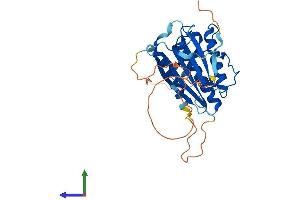 Protein Structure (PS) image for HORMA Domain Containing 2 (HORMAD2) (AA 1-306) protein (His tag) (ABIN7557523)