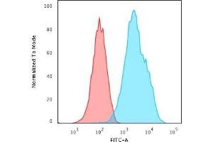 Cytometric Analysis of Raji cells using CD20 Mouse Monoclonal Antibody (L26) followed by Goat anti-Mouse IgG-CF488 (Blue); Isotype Control (Red). (CD20 Antikörper)