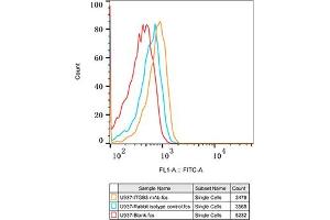 Flow cytometry: U937 cells were stained with Rabbit IgG isotype control (, 2.
