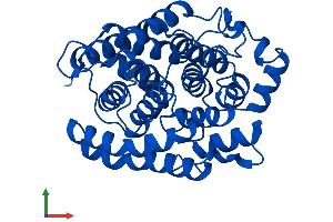 Protein Structure (PS) image for ADP-Ribosylarginine Hydrolase (ADPRH) (AA 1-357) protein (His tag) (ABIN7552102)