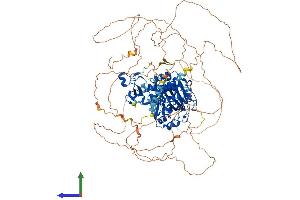 Protein Structure (PS) image for PHD Finger Protein 8 (PHF8) (AA 1-1023) protein (His tag) (ABIN7564234)