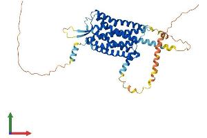 Protein Structure (PS) image for Hypocretin (Orexin) Receptor 2 (HCRTR2) (AA 1-444) protein (His tag) (ABIN7550267)