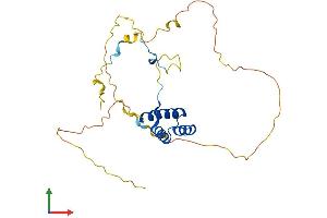 Protein Structure (PS) image for Homeobox D4 (HOXD4) (AA 1-250) protein (His tag) (ABIN7562827)