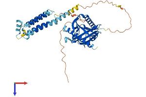 STARD3 Protein (AA 1-446) (His tag)