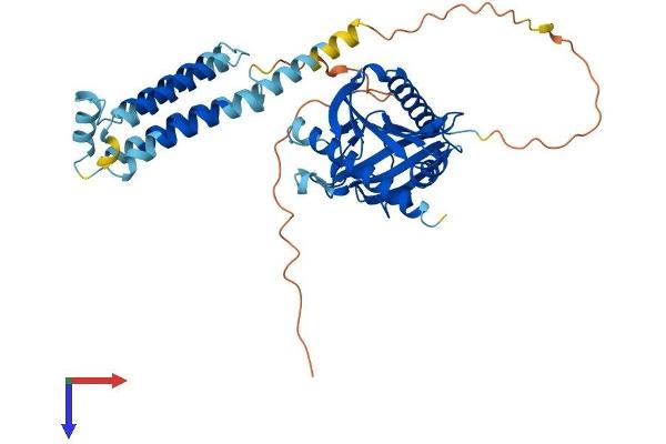 STARD3 Protein (AA 1-446) (His tag)