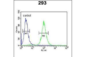 Flow cytometric analysis of 293 cells (right histogram) compared to a negative control cell (left histogram). (HSPB3 Antikörper  (N-Term))