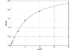 A typical standard curve