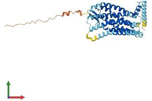 Protein Structure (PS) image for Chemokine (C-C Motif) Receptor 9 (CCR9) (AA 1-369) protein (His tag) (ABIN7553023)