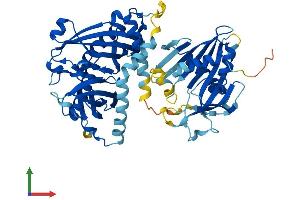 Protein Structure (PS) image for Acyl-CoA Thioesterase 12 (ACOT12) (AA 1-555) protein (His tag) (ABIN7551897)
