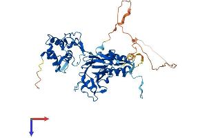 SMAD1 Protein (AA 1-465) (His tag)