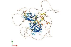 Protein Structure (PS) image for Folliculin Interacting Protein 2 (FNIP2) (AA 1-1108) protein (His tag) (ABIN7564227)