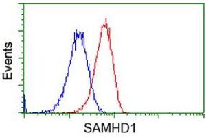Flow cytometric Analysis of Hela cells, using anti-SAMHD1 antibody (ABIN2453624), (Red), compared to a nonspecific negative control antibody (TA50011), (Blue). (SAMHD1 Antikörper)