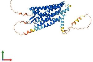 Protein Structure (PS) image for Somatostatin Receptor 1 (SSTR1) (AA 1-391) protein (His tag) (ABIN7563097)