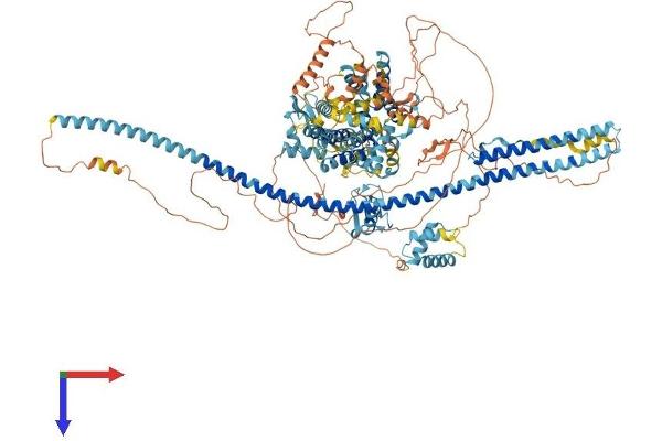 DZIP3 Protein (AA 1-1208) (His tag)