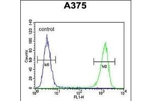 FA96B Antibody (N-term) (ABIN653317 and ABIN2842809) flow cytometric analysis of  cells (right histogram) compared to a negative control cell (left histogram). (FAM96B Antikörper  (N-Term))