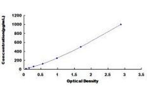 Typical standard curve (IL-18 ELISA Kit)