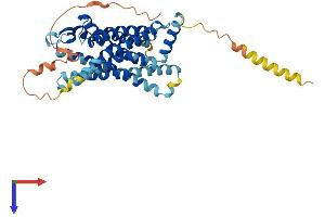 BDKRB2 Protein (AA 1-392) (His tag)