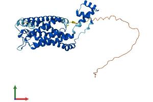 Protein Structure (PS) image for Ceramide Synthase 4 (CERS4) (AA 1-393) protein (His tag) (ABIN7561046)
