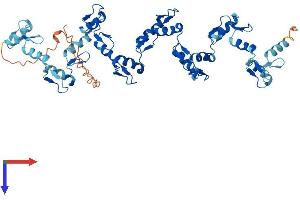 ZNF345 Protein (AA 1-488) (His tag)