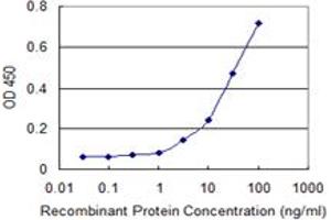 Detection limit for recombinant GST tagged LRRC2 is 1 ng/ml as a capture antibody. (LRRC2 Antikörper  (AA 272-371))