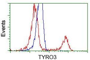 HEK293T cells transfected with either pCMV6-ENTRY TYRO3 (RC208260) (Red) or empty vector control plasmid (Blue) were immunostained with anti-TYRO3 mouse monoclonal (ABIN2452233, Dilution 1:1,000), and then analyzed by flow cytometry. (TYRO3 Antikörper)