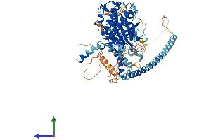 Protein Structure (PS) image for Dystrophia Myotonica-Protein Kinase (DMPK) (AA 1-631) protein (His tag) (ABIN7563445)