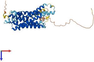 OPN5 Protein (AA 1-377) (His tag)