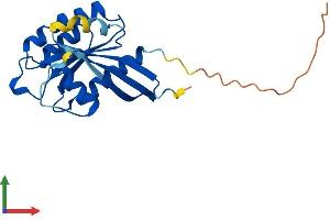 Protein Structure (PS) image for RAB10, Member RAS Oncogene Family (RAB10) (AA 1-200) protein (His tag) (ABIN7563490)