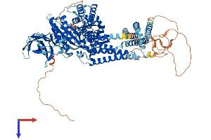 INPP4A Protein (AA 1-977) (His tag)