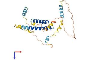 CDCA4 Protein (AA 1-241) (His tag)