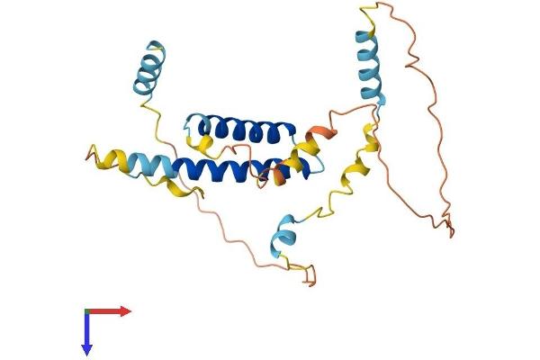 CDCA4 Protein (AA 1-241) (His tag)