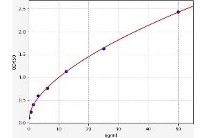 GSTa2 ELISA Kit