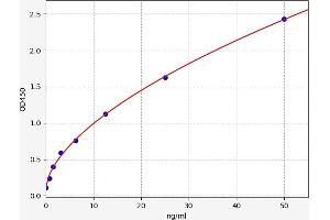 Typical standard curve (GSTa2 ELISA Kit)