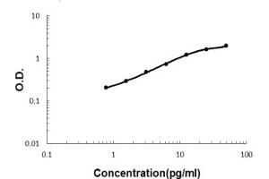 Sandwich ELISA - Recombinant human ADAMTS13 protein standard curve.