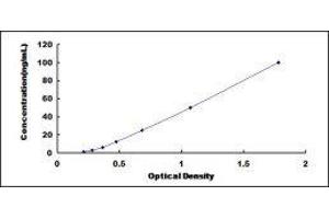 ELISA image for Growth Arrest-Specific 6 (GAS6) ELISA Kit (ABIN415796)