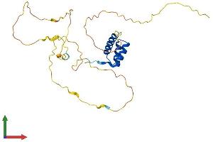 Protein Structure (PS) image for GS Homeobox 1 (GSX1) (AA 1-264) protein (His tag) (ABIN7548107)