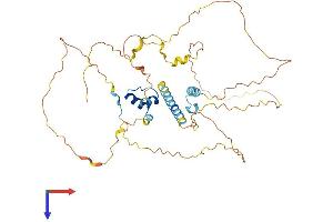 MAMSTR Protein (AA 1-415) (His tag)