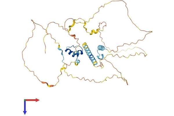MAMSTR Protein (AA 1-415) (His tag)