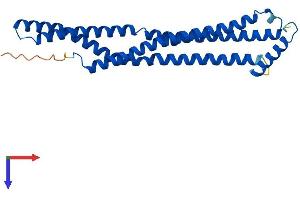 BIN3 Protein (AA 1-253) (His tag)