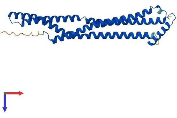 BIN3 Protein (AA 1-253) (His tag)